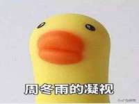 北京时光猫互联网科技有限公司