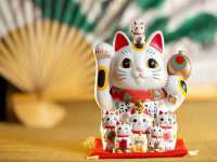 北京时光猫互联网科技有限公司