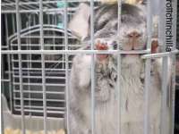 北京时光猫互联网科技有限公司