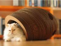 北京时光猫互联网科技有限公司