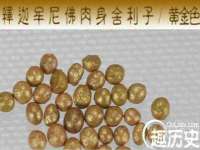 北京时光猫互联网科技有限公司